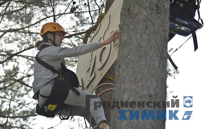 345667879778 (15).jpg